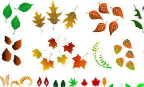 Huge Collection of Vector Leaves